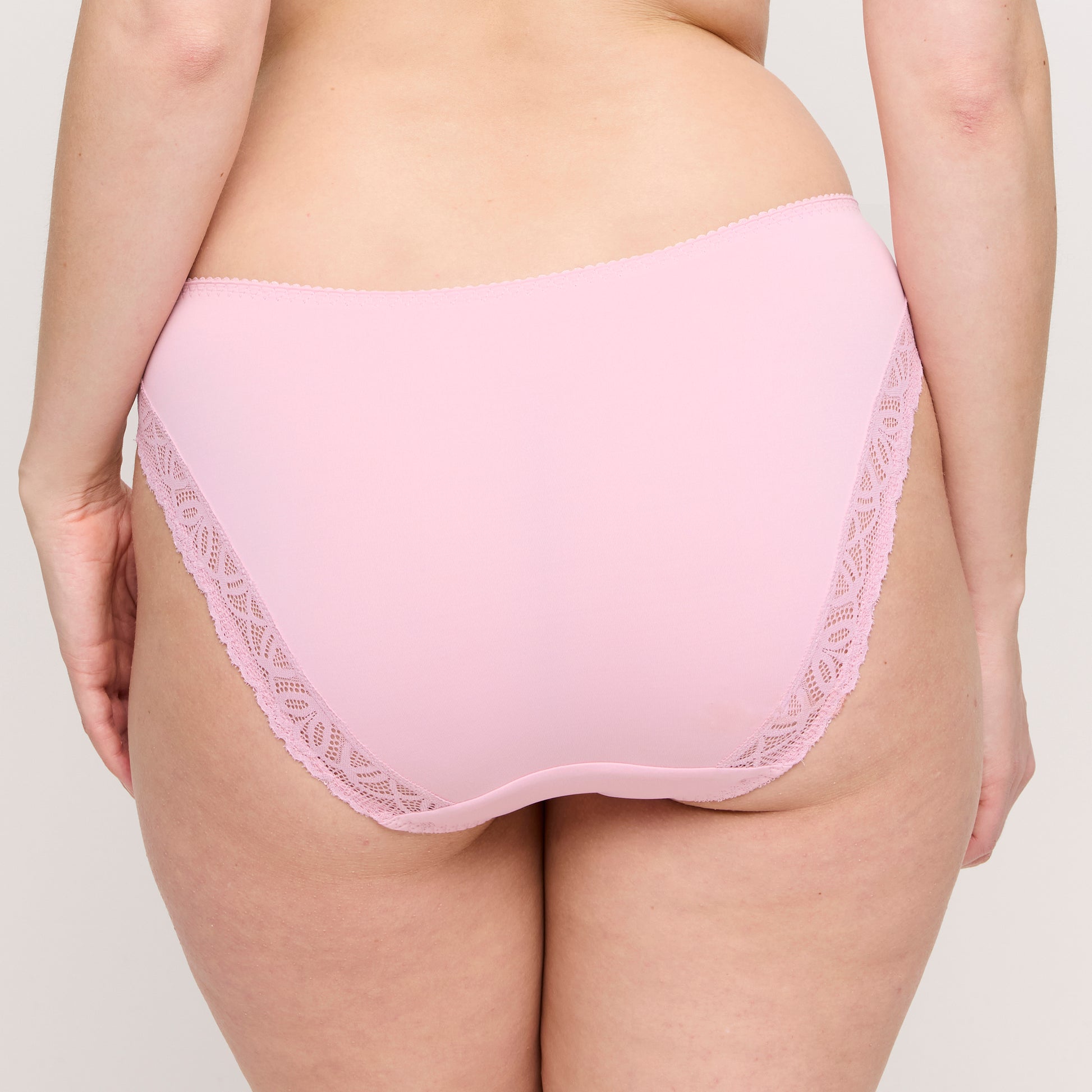 Primadonna Salerno rioslip Spring Rose