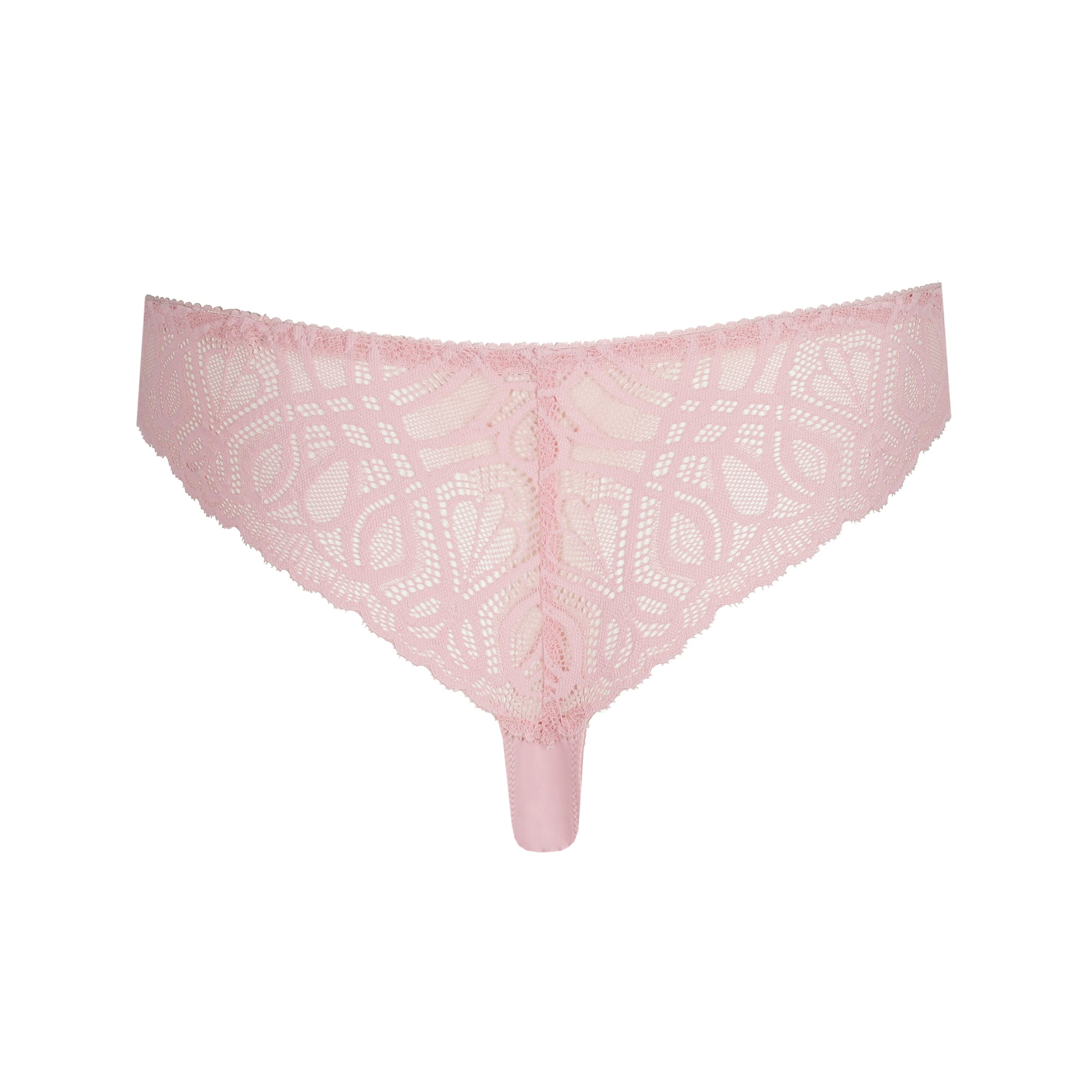 Primadonna Salerno string Spring Rose