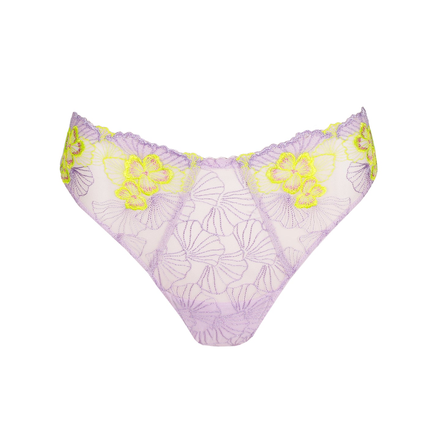 Primadonna Ixia string Wisteria